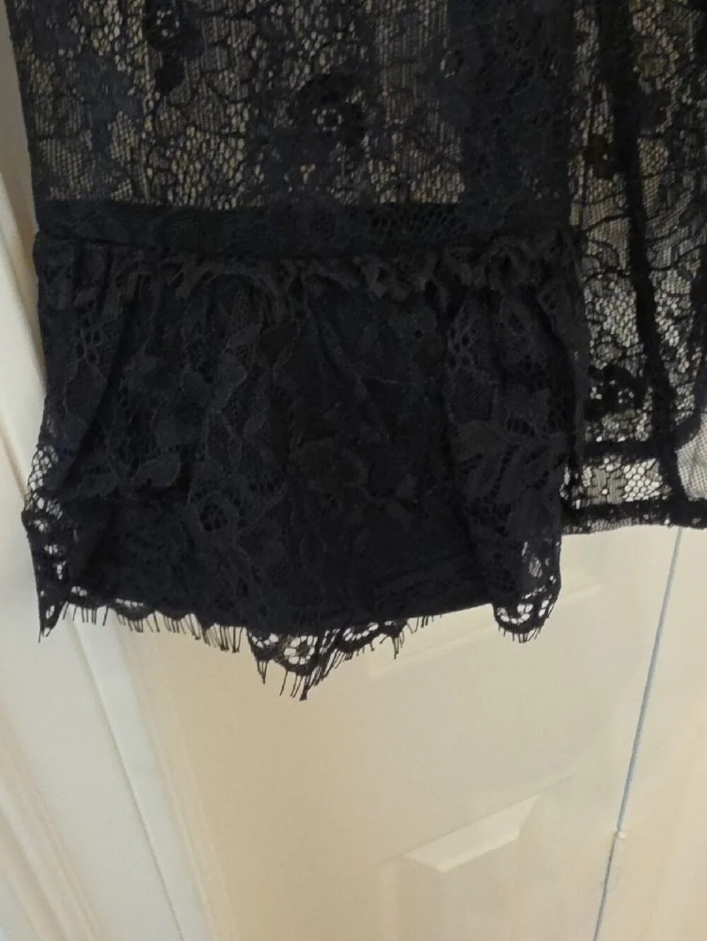 Fashion Nova sheer lace